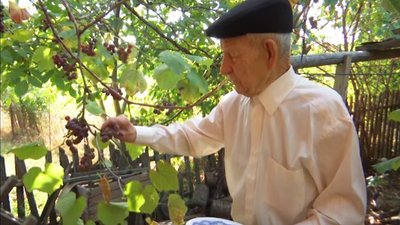 Міжнародний день людей похилого віку: історія 100-річного Івана Кондратюка Міжнародний день людей похилого віку: історія 100-річного Івана Кондратюка