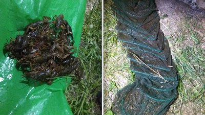Наловив раків майже на 110 тисяч гривень. На Хмельниччині виявили браконьєра