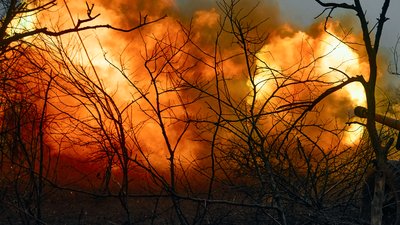 Росіяни вкотре обстріляли прикордоння Чернігівщини з мінометів та ствольної артилерії
