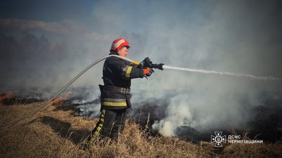 Пожежі на Чернігівщині: 53 пожежі за добу — виявили тіло людини, горіли понад 100 га трави