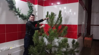 Фотодобірка Суспільного про ялинки на Донеччині — від Бахмута до Лимана