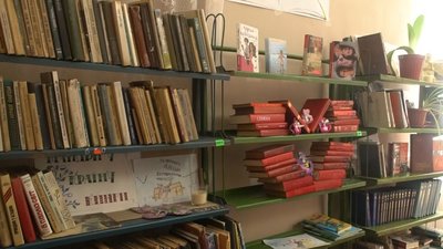 У Запорізькій області жінка самотужки оновлює сільську бібліотеку У Запорізькій області жінка самотужки оновлює сільську бібліотеку
