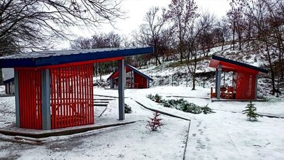 Рекреаційний пункт, Дніпро, ліс