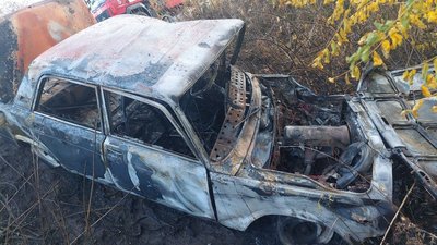 У Запорізькому районі легковик в'їхав у дерево: травмована 73-річна водійка