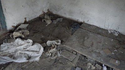 Схрон з патронами