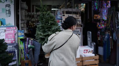 "Військовим роблять знижки". Де у Чернівцях купити ялинку: що продають та які ціни "Військовим роблять знижки". Де у Чернівцях купити ялинку: що продають та які ціни