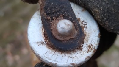 На Житомирщині знайшли останки солдата, який загинув у бою у 1941 році На Житомирщині знайшли останки солдата, який загинув у бою у 1941 році
