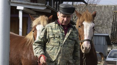 "Коні все розуміють": історія волинянина, який понад 20 років їздить містом на підводі "Коні все розуміють": історія волинянина, який понад 20 років їздить містом на підводі