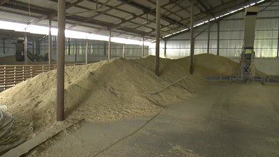 Намолотили понад 1,5 мільйона тонн: на Полтавщині завершили жнива ранніх зернових