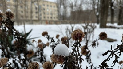 У Донецькій області 6 січня сніжитиме, на дорогах ожеледиця: прогноз погоди