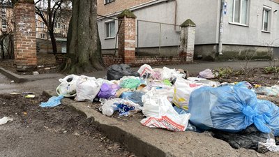 У Полтаві комунальники почали складати протоколи за стихійні сміттєзвалища У Полтаві комунальники почали складати протоколи за стихійні сміттєзвалища