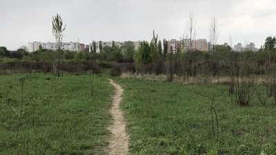 "Забрали в душогубку": під час німецької окупації у Полтаві розстріляти до 30 тисяч людей "Забрали в душогубку": під час німецької окупації у Полтаві розстріляти до 30 тисяч людей