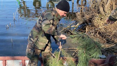 На водоймах Миколаївщини встановлюють штучні нерестовища