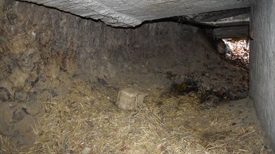 Ведмедиці Маші не спиться Ведмедиці Маші не спиться