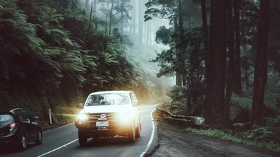 ДТП на Прикарпатті: нетверезий водій не розрахував швидкість