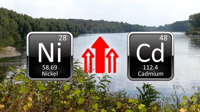 Якість води у річках на Чернігівщині: зафіксували перевищення вмісту нікелю та кадмію