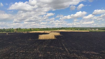 На Харківщині жителі села загасили пожежу на полі до приїзду рятувальників