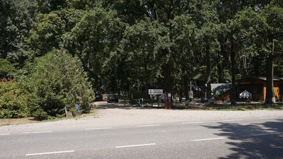 У лісах Кіровоградщини побільшало безплатних місць відпочинку. Хто і як їх створює У лісах Кіровоградщини побільшало безплатних місць відпочинку. Хто і як їх створює