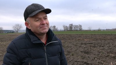 Розкопки в Боремлі