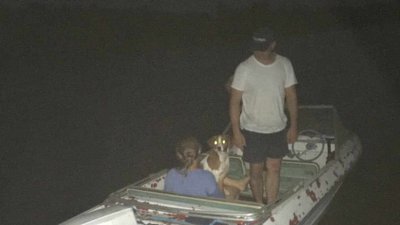 Родина з Хмельниччини застрягла на Дністрі: їх рятували водолази