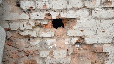 "Гусей стадо повністю розбило. Десять штук" - мешканці села Павліка на Сумщині про обстріли села "Гусей стадо повністю розбило. Десять штук" - мешканці села Павліка на Сумщині про обстріли села