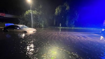 Наслідки негоди на Волині: повалені дерева та аварійне відключення світла Наслідки негоди на Волині: повалені дерева та аварійне відключення світла