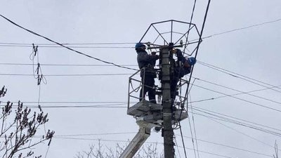 "Новобудова" для лелек: черкаські енергетики облаштували гніздо для птахів