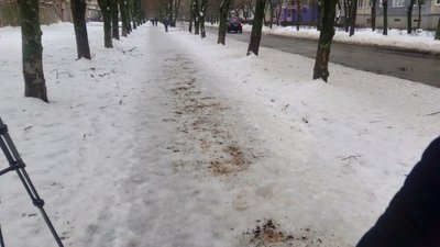 У Кропивницькому власник кав’ярні посипає тротуари кавовою гущею У Кропивницькому власник кав’ярні посипає тротуари кавовою гущею