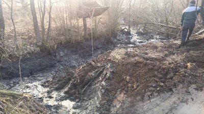 На Прикарпатті гноївкою залило вісім соток землі