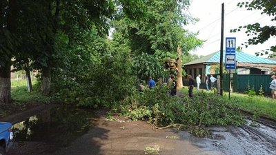 Повалені дерева, підтоплені та знеструмлені вулиці: Прилуками пронісся буревій