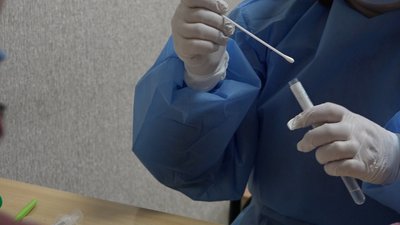 Допуск до роботи: освітяни Житомира здають обов’язковий ПЛР-тест на COVID-19