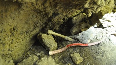 На Тернопільщині відкрили недосліджену печеру, у ній виявили рештки людей На Тернопільщині відкрили недосліджену печеру, у ній виявили рештки людей