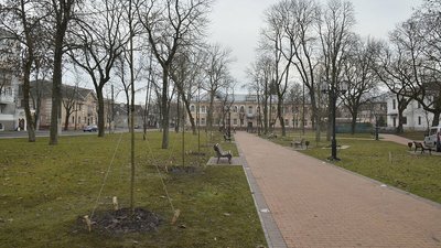Платани, які висадили на Валу у Чернігові, подарував благодійник, — Ломако