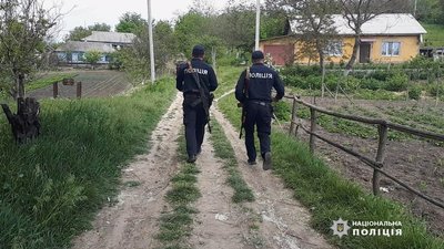 Застряг в болоті: на Одещині завершили пошуки чотирирічного хлопчика Застряг в болоті: на Одещині завершили пошуки чотирирічного хлопчика