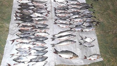 У Національному парку "Нижньодніпровський" на Херсонщині затримано браконьєра