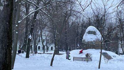 Житомир, погода, природа, січень 2026 року