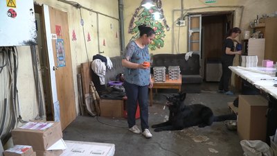 У Дніпрі долучилися до акції «Візьми собаку на роботу» У Дніпрі долучилися до акції «Візьми собаку на роботу»