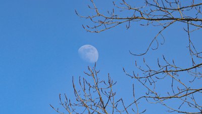 Херсон, погода, небо, місяць