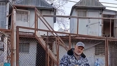 Голубник Шматька