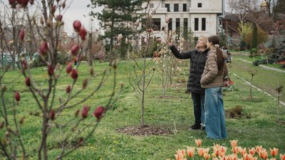Магнолії у Харківському ботсаду