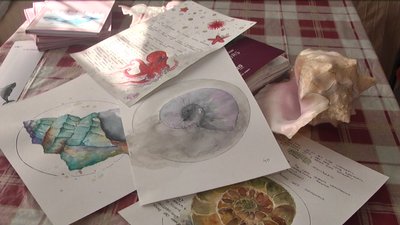 Підводний світ аквареллю: вінницька письменниця ілюструвала власну збірку казок