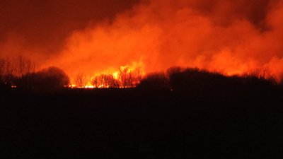 Пожежа в екосистемі Волинь