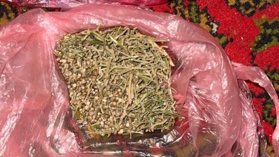 Херсон, поліція, наркотики, канабіс