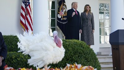 Індички і Трамп з дружиною Індички і Трамп з дружиною