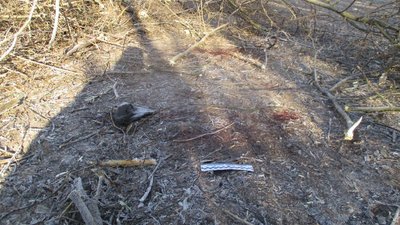Внаслідок обстрілу Сумщини військовими РФ, загинула 19-річна дівчина — у прокуратурі розпочали досудове розслідування