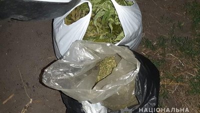 У Петриківському районі під час операції «Мак» поліцейські знищили понад 600 насаджень конопель У Петриківському районі під час операції «Мак» поліцейські знищили понад 600 насаджень конопель