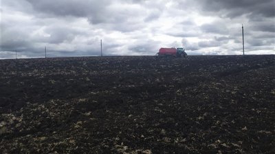 В Кіровоградській області озимих зібрали на 60 відсотків більше, ніж торік В Кіровоградській області озимих зібрали на 60 відсотків більше, ніж торік