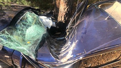 Не впорався з керуванням і врізався в дерево: в ДТП на Рівненщині загинув водій легковика Не впорався з керуванням і врізався в дерево: в ДТП на Рівненщині загинув водій легковика