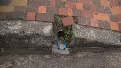 У Житомирі протягом року виявили понад 20 випадків незаконних підключень до каналізаційної мережі У Житомирі протягом року виявили понад 20 випадків незаконних підключень до каналізаційної мережі