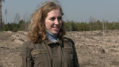 Черкаські лісівники висаджують сіянці Черкаські лісівники висаджують сіянці